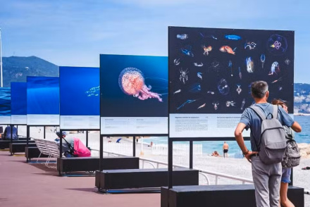 Image d'illustration pour : exposition photo sur la promenade du soleil levant