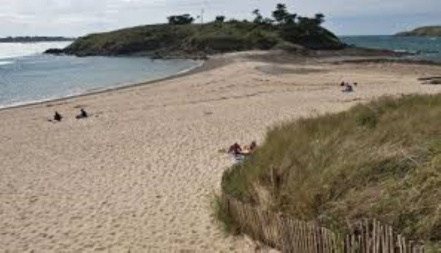 Image d'illustration pour : Protection dune de la plage des 4 Vaux